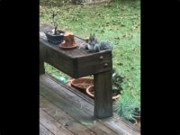 View recent photos Small.jpeg