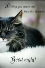 1766372730997.png 1766372730997.png