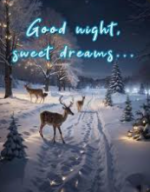 1766459583837.png 1766459583837.png