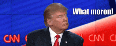 moron1.gif