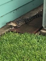 IMG_1629 Medium.jpeg IMG_1629 Medium.jpeg