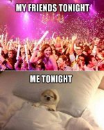 friends-new-year-meme-introvert-staying-in.jpeg friends-new-year-meme-introvert-staying-in.jpeg