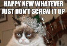 new-year-angry-cat.jpg new-year-angry-cat.jpg