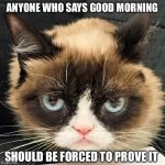 cat_morning_meme.jpeg