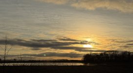 IMG_5647.jpeg IMG_5647.jpeg