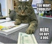 want-cuddles-20-sundole-here-go-buy-dog-couldstites.png
