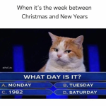 viral-cats-s-week-between-christmas-and-new-years-day-is-monday-c-1982-b-tuesday-d-saturday.png