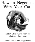 negotiate-with-cat-step-one-give-cat-whatever-they-want-step-two-end-negotiation.png