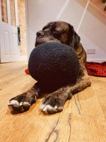 IMG_4842.jpeg IMG_4842.jpeg