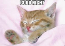Goodnight_Kitty.png