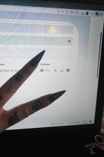 IMG_4962.jpeg IMG_4962.jpeg