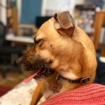 IMG_1113.jpeg IMG_1113.jpeg