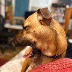 IMG_1114.jpeg IMG_1114.jpeg