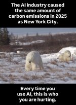 IMG_3562 Medium.jpeg