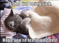 1767909595225.png 1767909595225.png