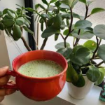 matcha_1.png