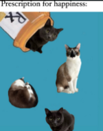 Screenshot 2026-01-10 160004.png