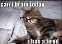 Cant_Brain_Has_Tired.png