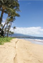 IMG_3658 Medium.jpeg