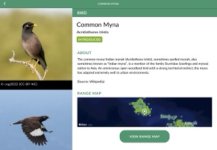 IMG_3661 Small 2.jpeg