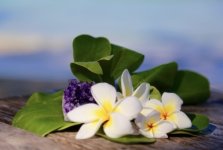 IMG_3667 Medium.jpeg