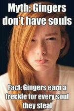gingers.jpg