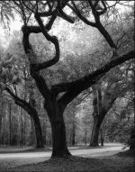 IMG_3672 Medium.jpeg IMG_3672 Medium.jpeg