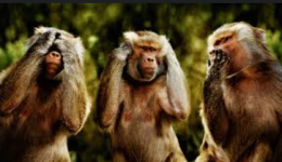 1769043881902.png 1769043881902.png