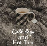 IMG_1804.jpeg IMG_1804.jpeg