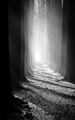 IMG_3676 Medium.jpeg IMG_3676 Medium.jpeg