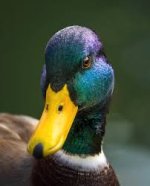 images.jpg images.jpg