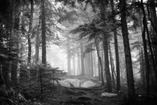 IMG_3689.jpeg IMG_3689.jpeg