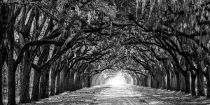 IMG_3695 Medium.jpeg