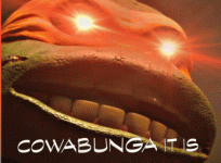1000008516.gif