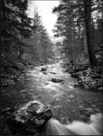 IMG_3696 Medium.jpeg