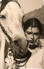 IMG_3706 Medium.jpeg IMG_3706 Medium.jpeg