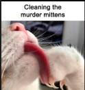 Murder_Mittens.png