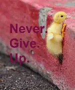 1769543064664.png 1769543064664.png