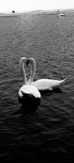 IMG_5688.jpeg IMG_5688.jpeg