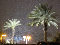 1769744606827.png 1769744606827.png