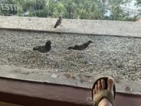 IMG_3712 Small.jpeg IMG_3712 Small.jpeg