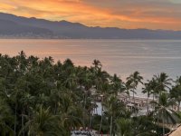 IMG_5599 Medium.jpeg IMG_5599 Medium.jpeg