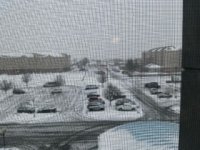 IMG_3714 Small.jpeg IMG_3714 Small.jpeg