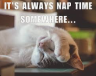 1769890784506.png 1769890784506.png