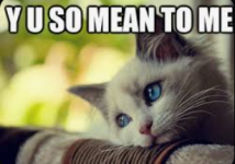 1769890797733.png 1769890797733.png