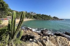 IMG_3716 Medium.jpeg