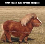 are-build-feed-not-speed.png are-build-feed-not-speed.png