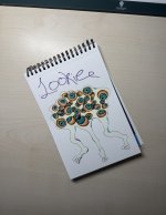 IMG_3257.jpeg IMG_3257.jpeg