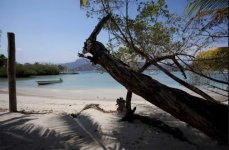 IMG_3725 Medium.jpeg