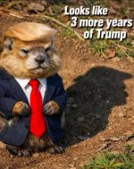 signal-2026-02-03-142928 Medium.jpeg